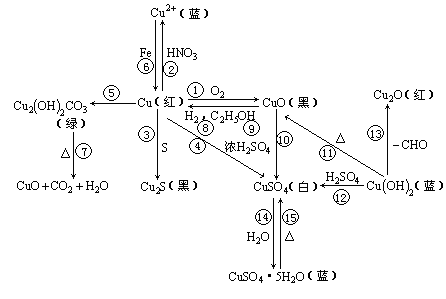 主磁极的作用及其重要性解析