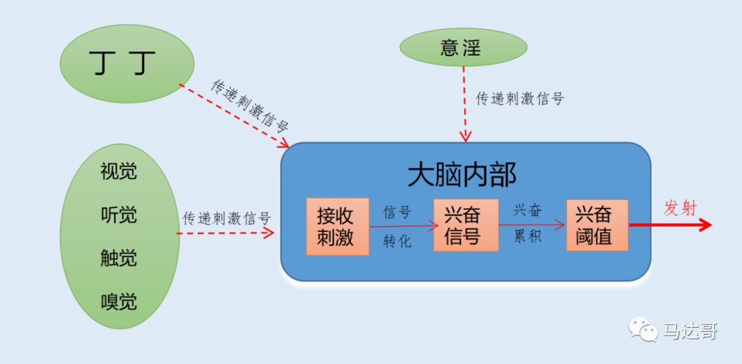 收费补偿机制，理论、实践与优化策略