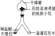 听风的倾诉 第7页