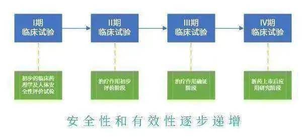 监视器的作用，深入了解其在不同领域的应用与价值