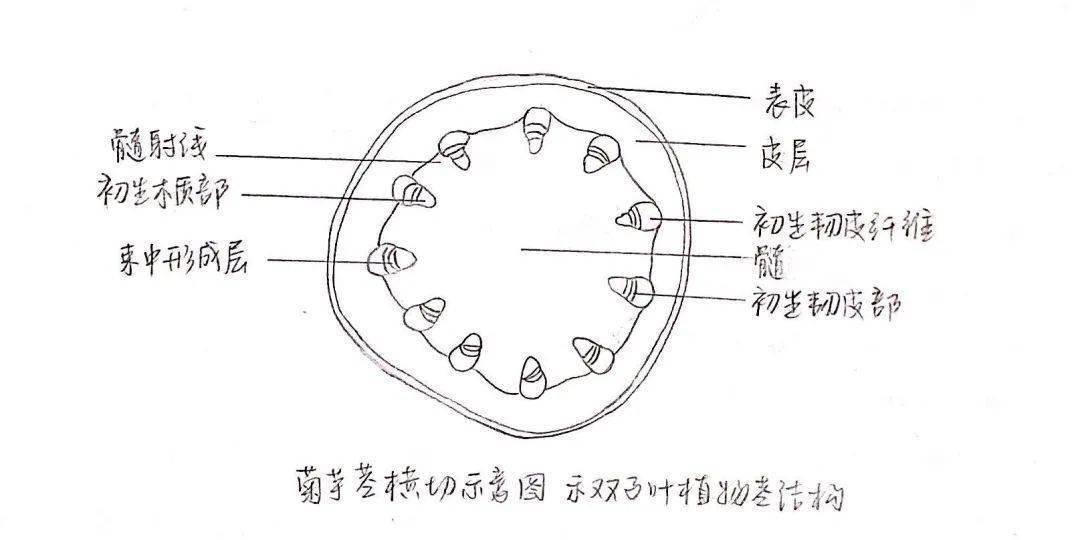 警用装备、碗与发电涂料的原理是否相同？——一个关于技术原理的探讨