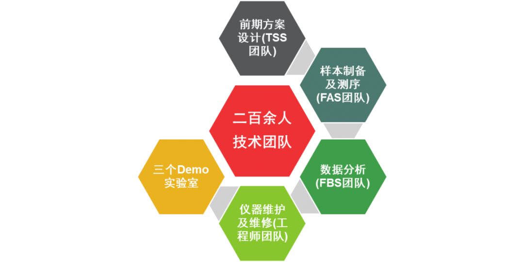 金属络合物染料，深入解析与应用探讨