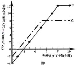 光衰减器的两种类型及其应用