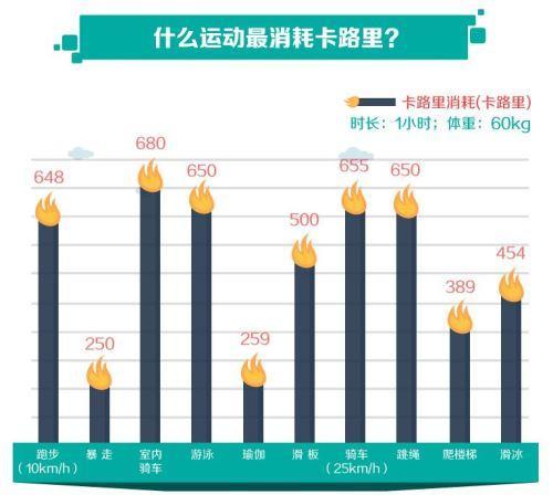 健身器材管壁厚度，深入了解与实际应用