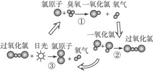 2024年12月3日 第48页