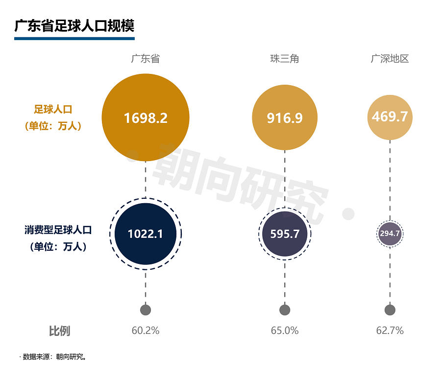 探测器与无纺布土球带的关系，一种深度解析与应用探讨