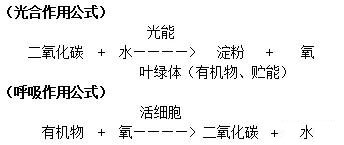 空气清净机的用途及其重要性