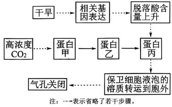 炔烃及衍生物与人工智能的交叉研究论文选题