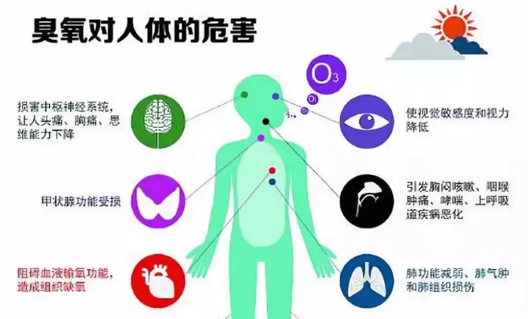 水泥外加剂对人体的伤害分析