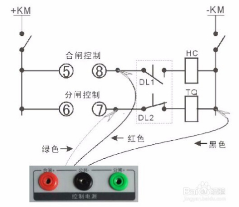 2024年12月5日 第15页