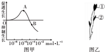 螺杆应用，多样性与重要性