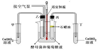 木工胶的原料及其制作工艺探究