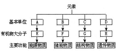 2024年12月11日 第4页