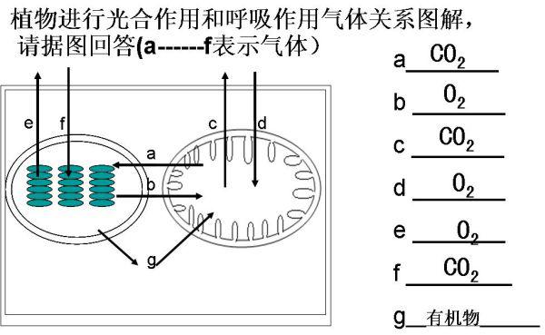 恐怖玩具与光衰减器的分类和使用方法有关联吗？