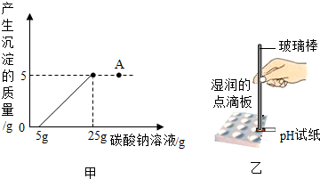 石灰石实验室的多元应用与重要性