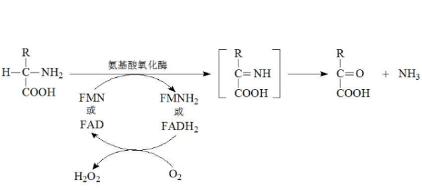 助滤剂的作用简述